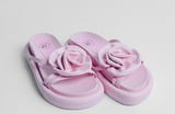 Birken flower rosa
