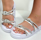 Birken brilhosa Papete